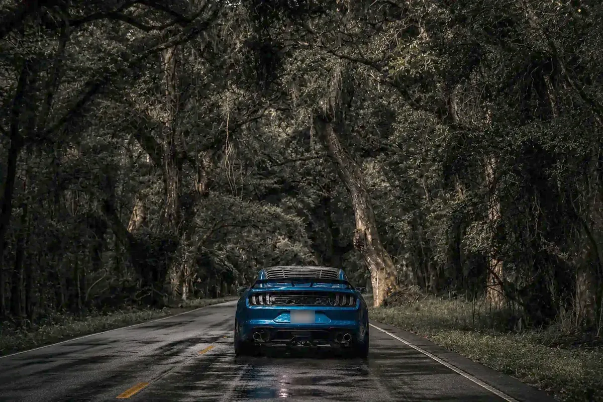 A blue Ford Mustang seen from behind on a wet Lowcountry road, under a low canopy of live oaks hung with Spanish moss.